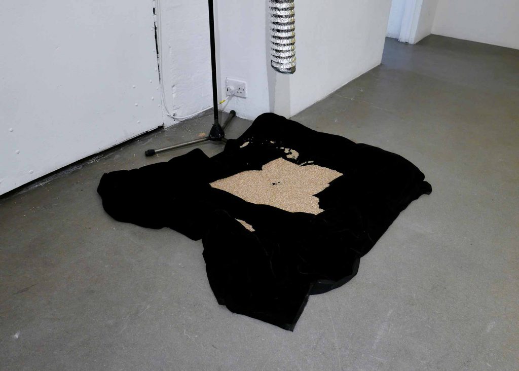 Te Undersides of Practice - Caroline Kraabel APT Gallery