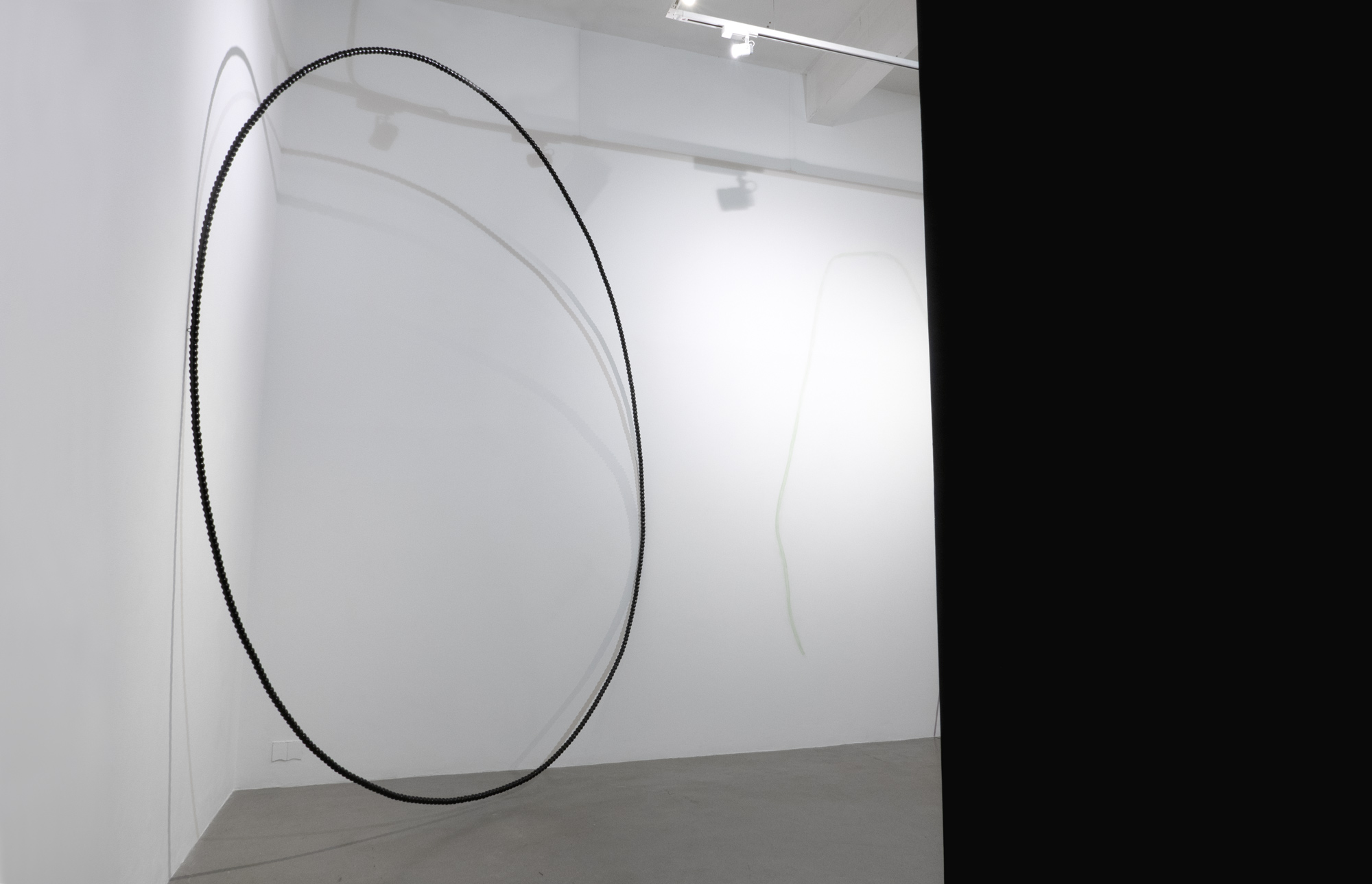 'Although' by Della Gooden viewed from the entrance and alongside Helen Robertson's 'Another Path'